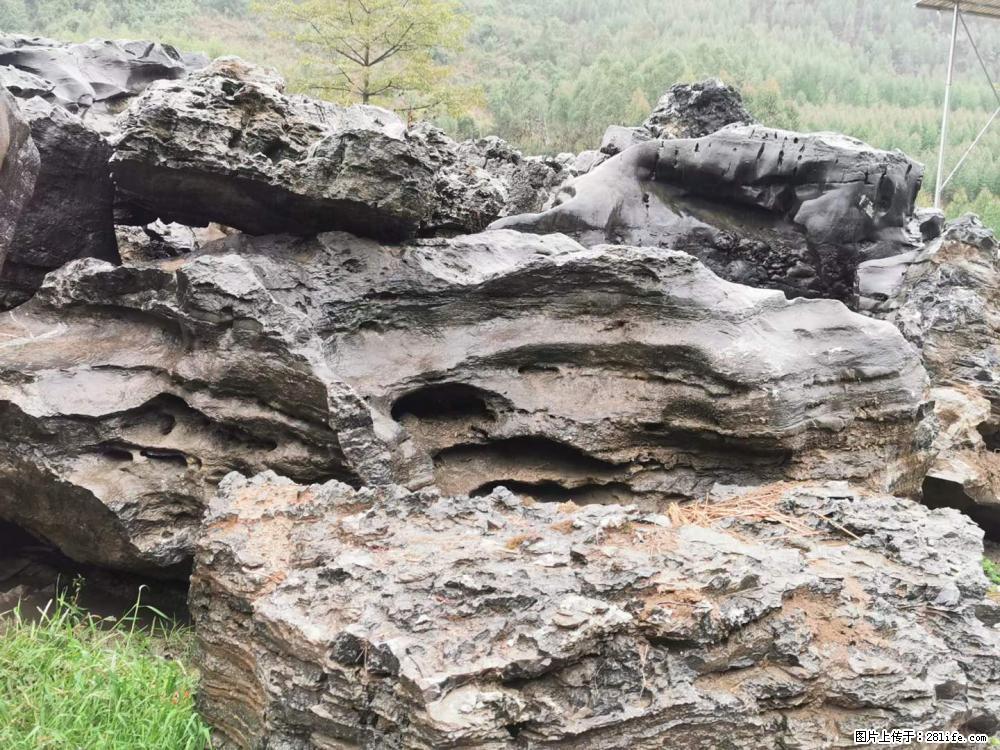 风景石、假山石大量有货，有需要的欢迎联系 - 新手上路 - 娄底生活社区 - 娄底28生活网 ld.28life.net