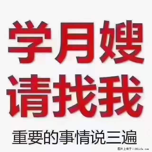 为什么要学习月嫂，育婴师？ - 新手上路 - 娄底生活社区 - 娄底28生活网 ld.28life.net