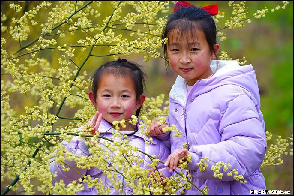 【春天，广西桂林灌阳县向您发出邀请！】米珠山前有片山苍子花在飘香 - 游山玩水 - 娄底生活社区 - 娄底28生活网 ld.28life.net