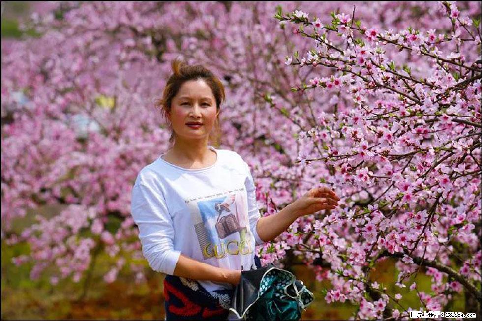 【春天，广西桂林灌阳县向您发出邀请！】官庄村有个醉美的桃花园 - 游山玩水 - 娄底生活社区 - 娄底28生活网 ld.28life.net