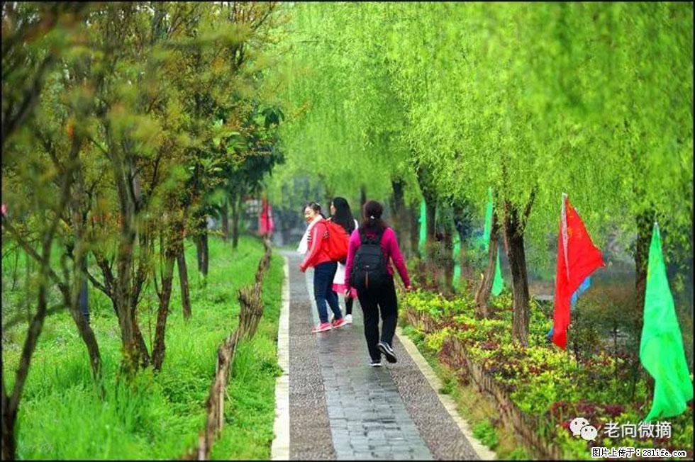 【春天，广西桂林灌阳县向您发出邀请！】江口老街又逢春 - 游山玩水 - 娄底生活社区 - 娄底28生活网 ld.28life.net