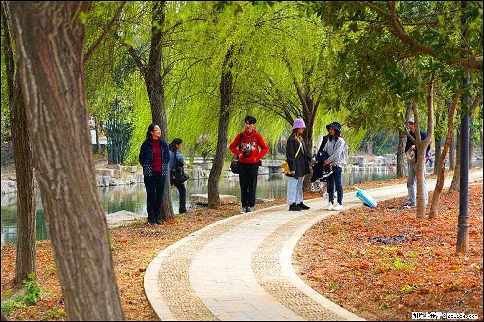 【春天，广西桂林灌阳县向您发出邀请！】江口老街又逢春 - 游山玩水 - 娄底生活社区 - 娄底28生活网 ld.28life.net