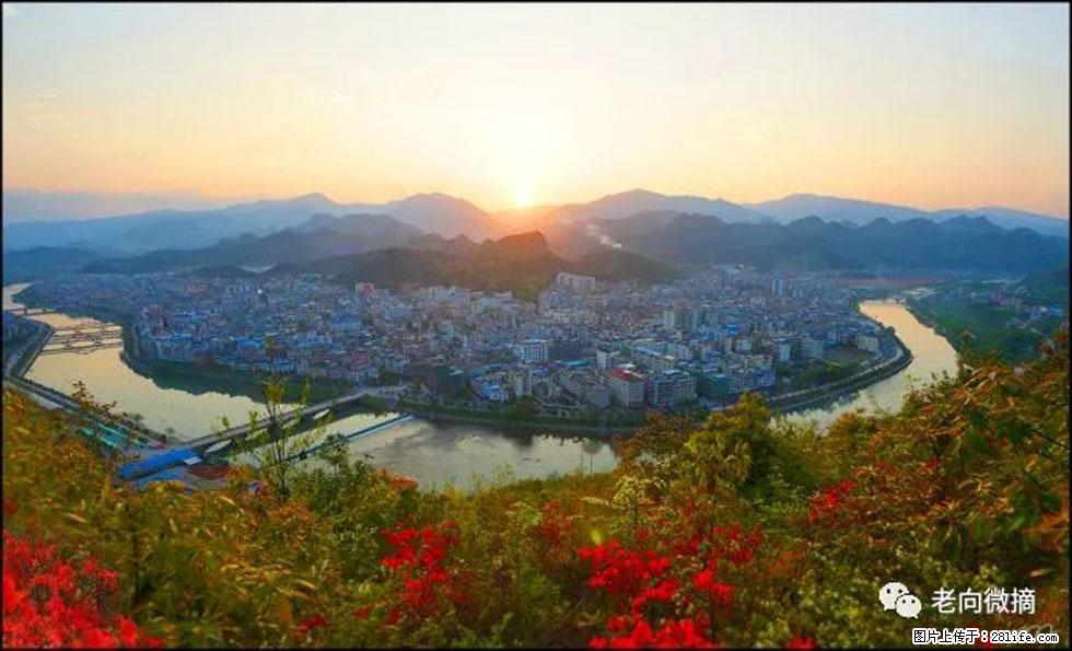 【春天，广西桂林灌阳县向您发出邀请！】登麒麟山，相约映山红 - 游山玩水 - 娄底生活社区 - 娄底28生活网 ld.28life.net