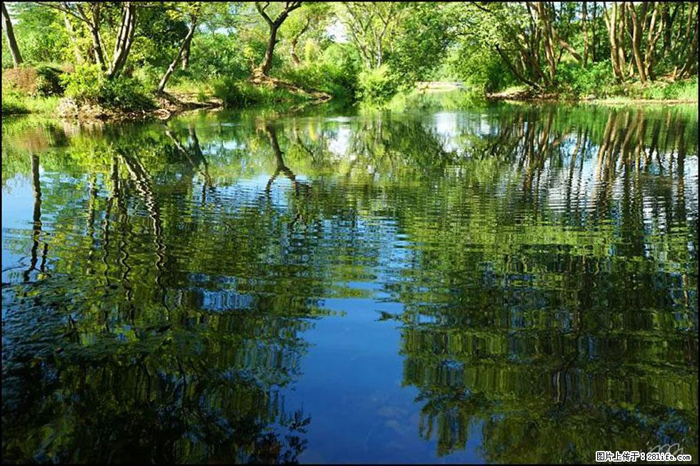 【春天，广西桂林灌阳县向您发出邀请！】熊家寨湿地公园 - 游山玩水 - 娄底生活社区 - 娄底28生活网 ld.28life.net