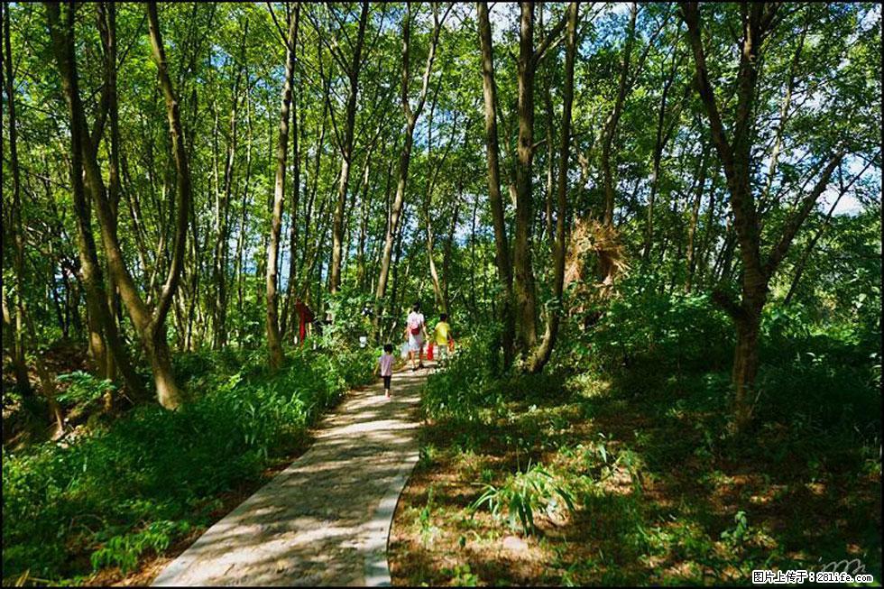 【春天，广西桂林灌阳县向您发出邀请！】熊家寨湿地公园 - 游山玩水 - 娄底生活社区 - 娄底28生活网 ld.28life.net