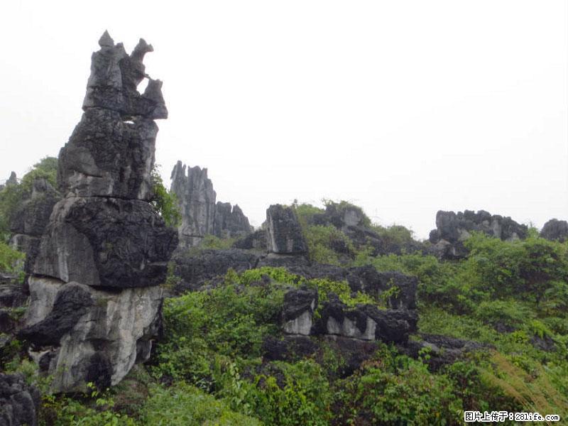 桂林旅游名城景点：灌阳文市石林 - 游山玩水 - 娄底生活社区 - 娄底28生活网 ld.28life.net