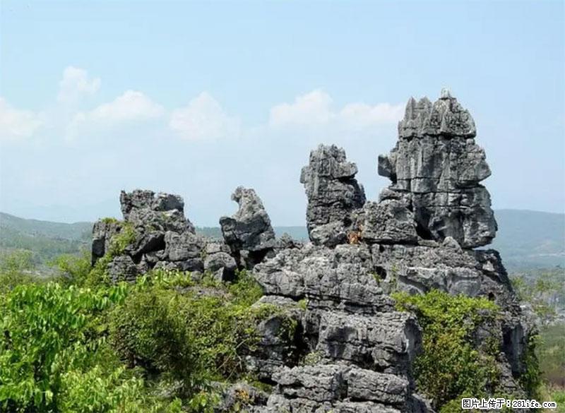 桂林旅游名城景点：灌阳文市石林 - 游山玩水 - 娄底生活社区 - 娄底28生活网 ld.28life.net