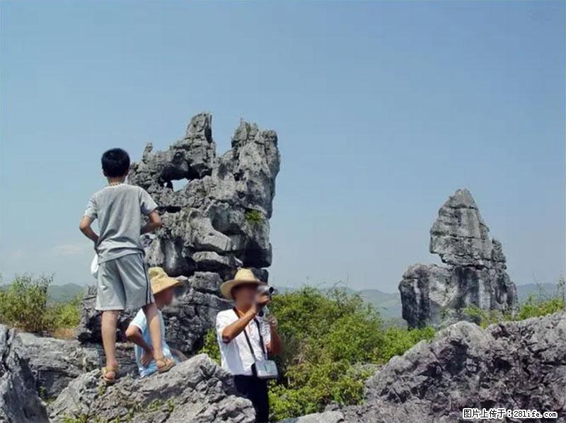 桂林旅游名城景点：灌阳文市石林 - 游山玩水 - 娄底生活社区 - 娄底28生活网 ld.28life.net