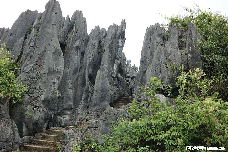 桂林旅游名城景点：灌阳文市石林 - 游山玩水 - 娄底生活社区 - 娄底28生活网 ld.28life.net