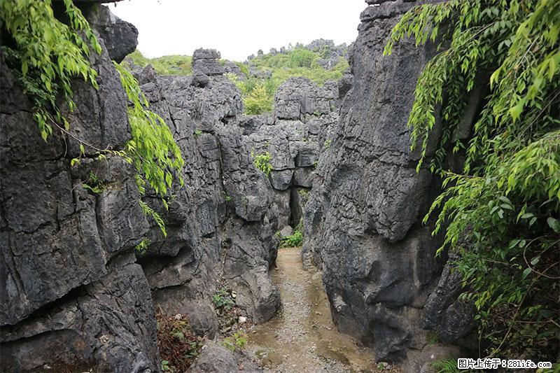 桂林旅游名城景点：灌阳文市石林 - 游山玩水 - 娄底生活社区 - 娄底28生活网 ld.28life.net