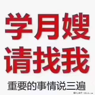 为什么要学习月嫂，育婴师？ - 娄底28生活网 ld.28life.net