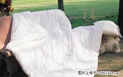 被子有异味？只要这样做，比晒太阳还强100倍！ - 家居生活 - 娄底生活社区 - 娄底28生活网 ld.28life.net