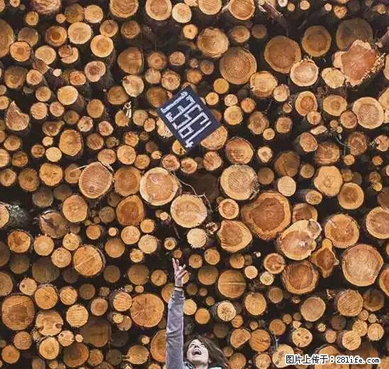 辞掉工作周游世界？现在他们在洗厕所…… - 游山玩水 - 娄底生活社区 - 娄底28生活网 ld.28life.net