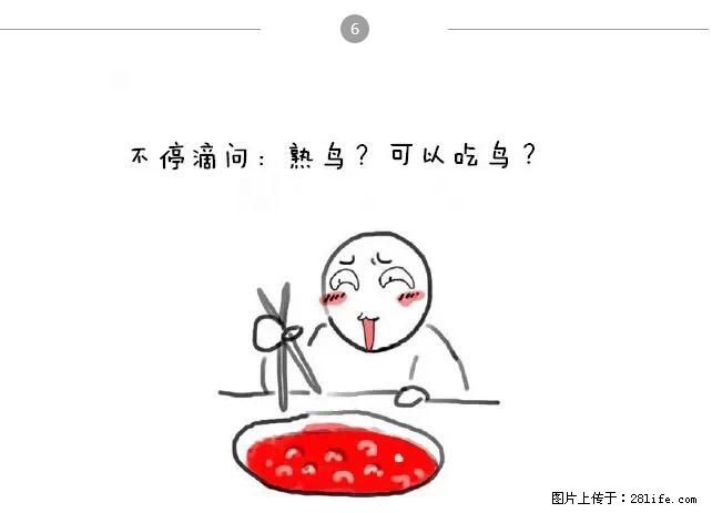 千万不要和这9种哈卵一起吃火锅！ - 美食天地 - 娄底生活社区 - 娄底28生活网 ld.28life.net