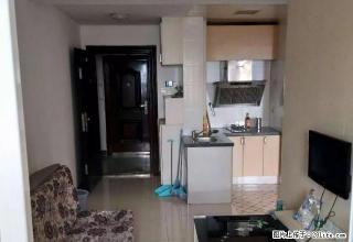 东方豪苑精装修 急租 家具齐全 入住半年起租包物业 - 娄底28生活网 ld.28life.net