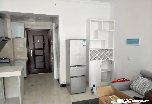 南苑上和，精装公寓房出租，家电齐全，拎包入住。 - 房屋出租 - 房屋租售 - 娄底分类信息 - 娄底28生活网 ld.28life.net
