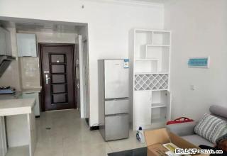 南苑上和，精装公寓房出租，家电齐全，拎包入住。 - 娄底28生活网 ld.28life.net
