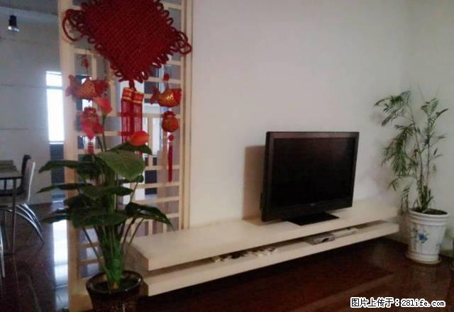 区国税局冷库 三中旁精装四方两厅两卫出租 - 房屋出租 - 房屋租售 - 娄底分类信息 - 娄底28生活网 ld.28life.net