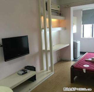 市中心 星达鑫都 精装公寓房 全新加电 拎包入住即可 - 娄底28生活网 ld.28life.net