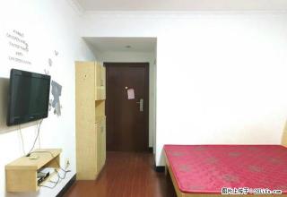 步行街旁 星海名都 全新精装一室一厅 原业主自住房 火爆急租 - 娄底28生活网 ld.28life.net