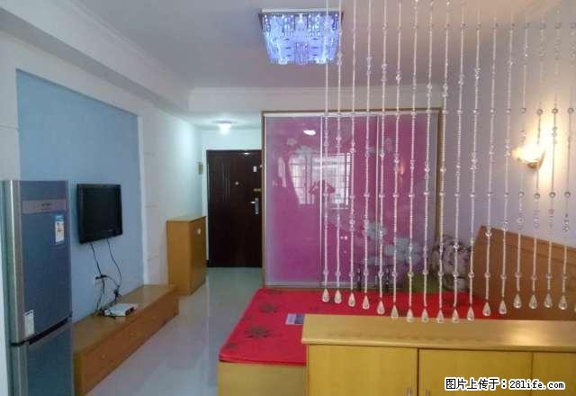 市中心 娄星广场 步行街旁 温馨公寓 自住房出租 - 房屋出租 - 房屋租售 - 娄底分类信息 - 娄底28生活网 ld.28life.net
