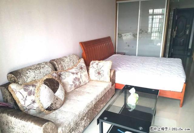 市中心万豪对面 精装修公寓便宜出租 家电齐全 拎包入住 - 房屋出租 - 房屋租售 - 娄底分类信息 - 娄底28生活网 ld.28life.net