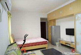 市中心 星海名都 家具齐全 精装温馨舒适自住房 优价出租！ - 娄底28生活网 ld.28life.net