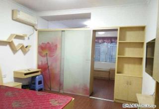 娄星广场 星海名都 精装温馨自住房出租 家具齐全 随时看房！ - 娄底28生活网 ld.28life.net