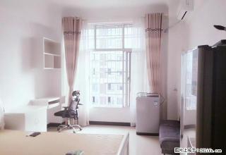 家具电器齐全 精装公寓 万豪广场 看房方便 - 娄底28生活网 ld.28life.net