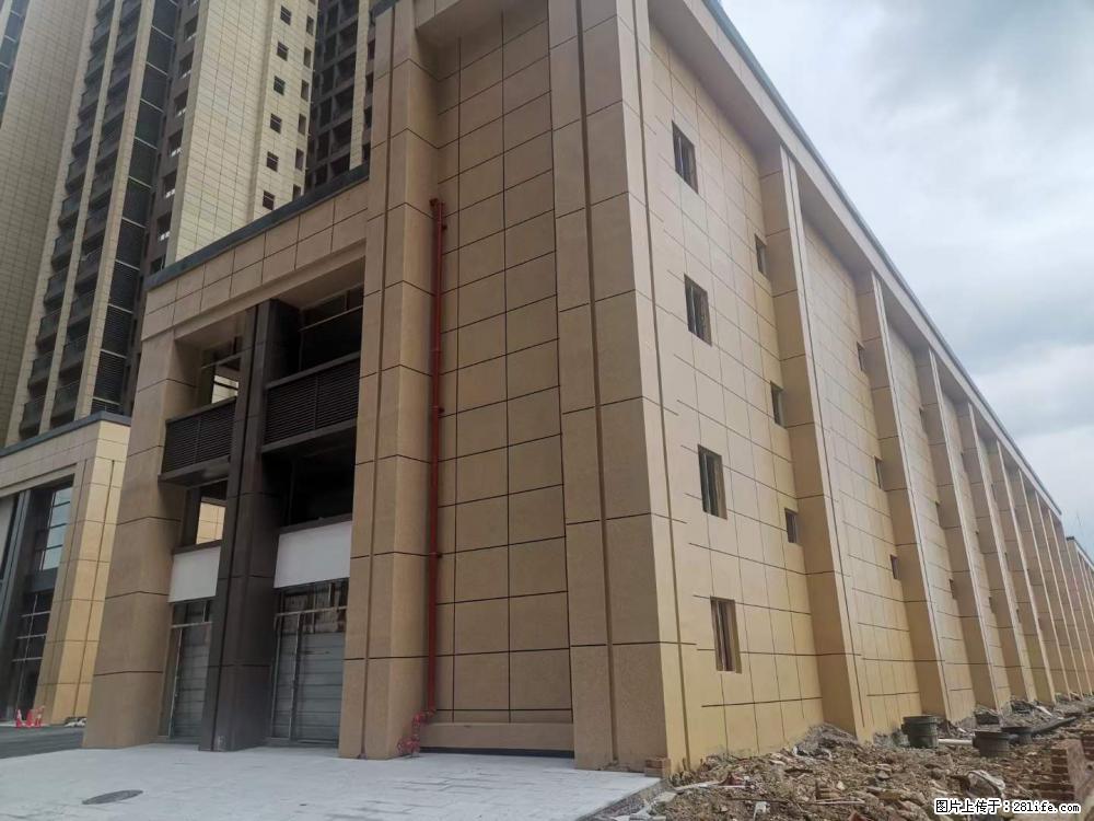 【广西三象建筑安装工程有限公司】外墙涂料工程 - 新手上路 - 娄底生活社区 - 娄底28生活网 ld.28life.net
