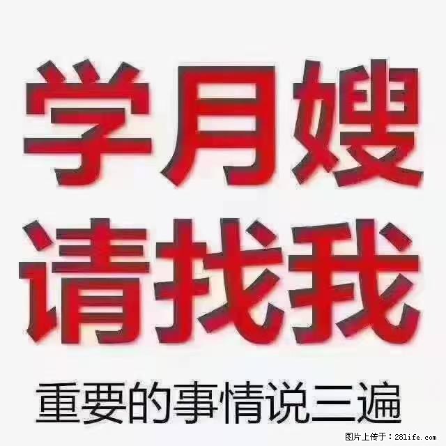 【招聘】月嫂，上海徐汇区 - 职场交流 - 娄底生活社区 - 娄底28生活网 ld.28life.net