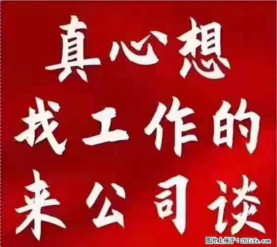【上海】国企，医院招两名男保安，55岁以下，身高1.7米以上，无犯罪记录不良嗜好 - 职场交流 - 娄底生活社区 - 娄底28生活网 ld.28life.net