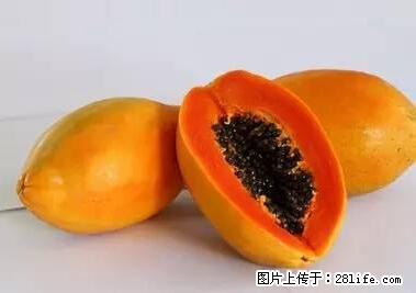 晕车、脚气、牙齿变黄、皮肤粗糙？学会这些三分钟搞定！ - 娄底生活资讯 - 娄底28生活网 ld.28life.net