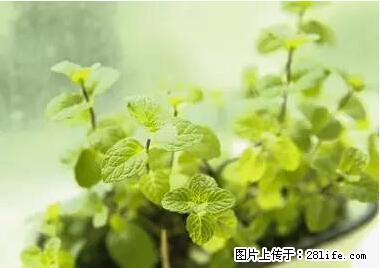 晕车、脚气、牙齿变黄、皮肤粗糙？学会这些三分钟搞定！ - 娄底生活资讯 - 娄底28生活网 ld.28life.net
