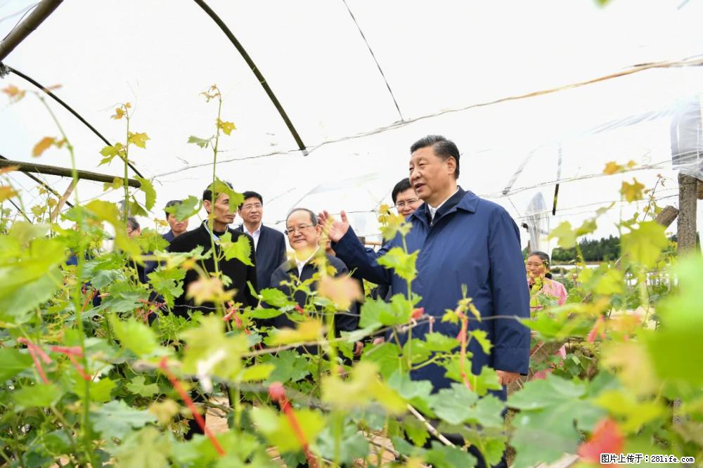 习近平赴广西考察调研 - 娄底生活资讯 - 娄底28生活网 ld.28life.net