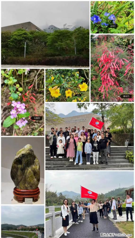 “粤灌文化 美好生活”油茶文化主题活动在广东深圳成功举办 - 娄底生活资讯 - 娄底28生活网 ld.28life.net