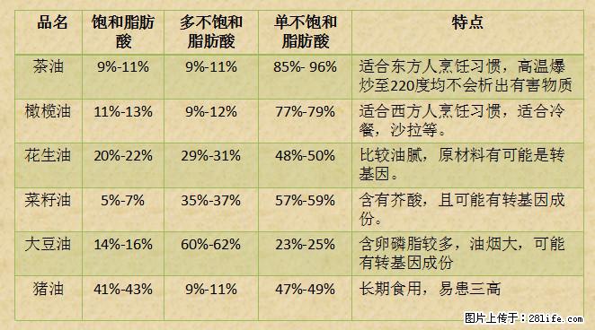 揭秘茶油的5大核心营养成分！被称为人体健康的“守护盾”！ - 娄底生活资讯 - 娄底28生活网 ld.28life.net