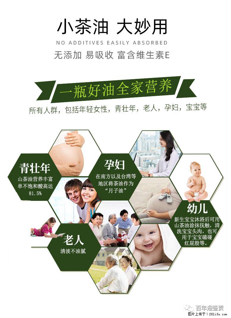 世界没有真相，只有认知，最好的食用油是中国的山茶油！ - 娄底生活资讯 - 娄底28生活网 ld.28life.net