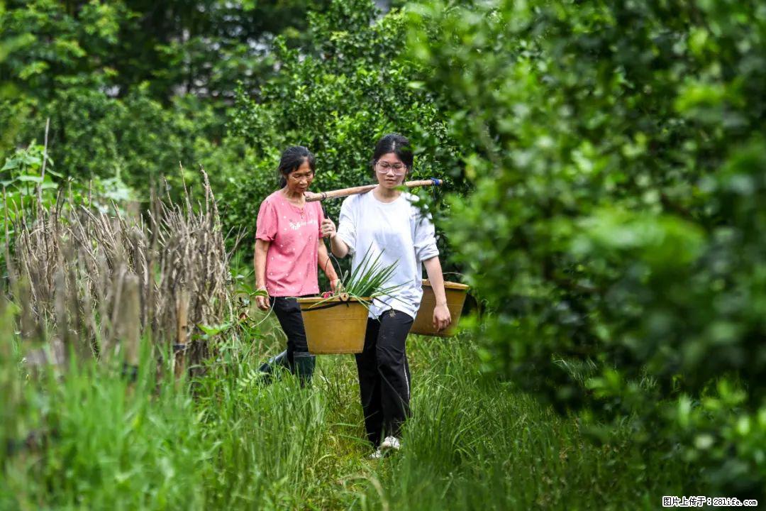 全网追的“扁担女孩”，找了一份暑假工，时薪12元 - 娄底生活资讯 - 娄底28生活网 ld.28life.net