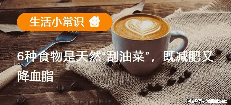 【生活小常识】6种食物是天然“刮油菜”，既减肥又降血脂 - 娄底生活资讯 - 娄底28生活网 ld.28life.net