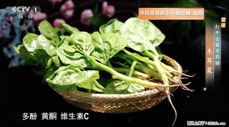 比牛奶补钙还厉害！凉血解毒、稳血糖...这菜冬天必吃，很多人却当草 - 娄底生活资讯 - 娄底28生活网 ld.28life.net