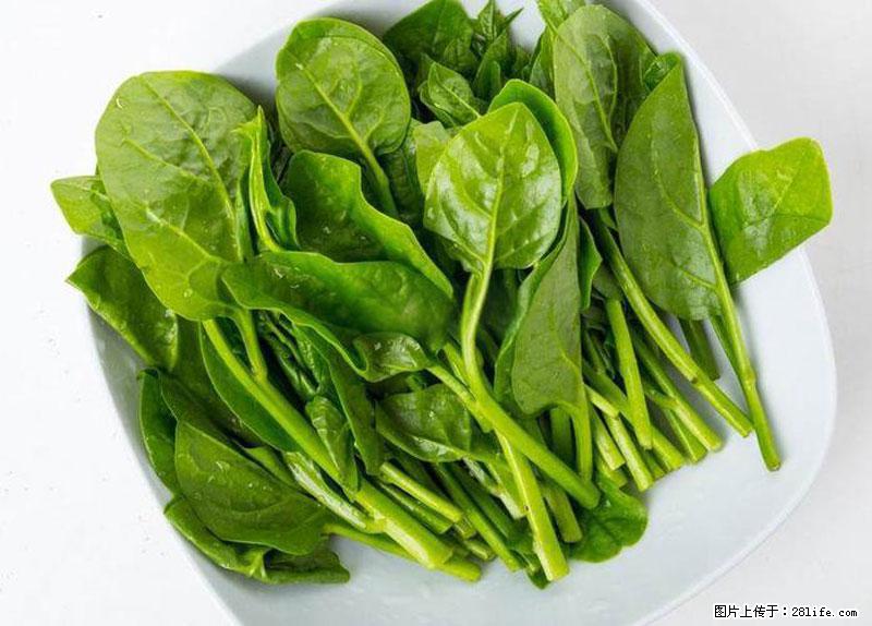 这些蔬菜是“天然钙片”，这6种被医生重点推荐 - 娄底生活资讯 - 娄底28生活网 ld.28life.net