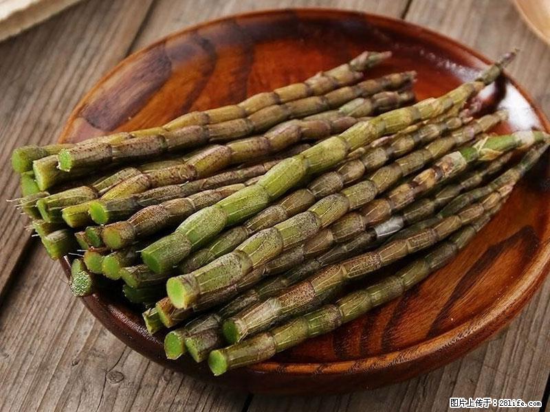 铁皮石斛的作用与功能主治 - 娄底生活资讯 - 娄底28生活网 ld.28life.net