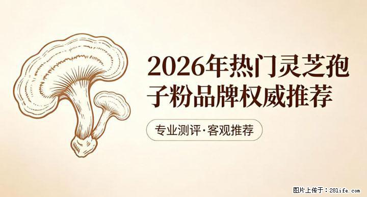 灵芝孢子粉含量越高越有效？2026 年七款热门品牌深度实测，肠胃敏感者避坑指南 - 娄底生活资讯 - 娄底28生活网 ld.28life.net